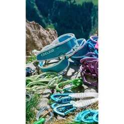 Baudrier<Edelrid Baudrier Prisma Icemint