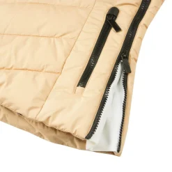 Veste De Ski Femme|Veste De Ski<Icepeak Blouson Ski Elsah Beige