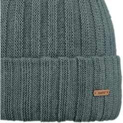 Bonnet Et Bandeau<Barts Bonnet Bayne Beanie Dark Celadon