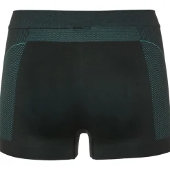 Sous-Vêtement Femme|Sous-Vêtements Thermiques<Odlo Boxer Windshield Panty Wmn Black