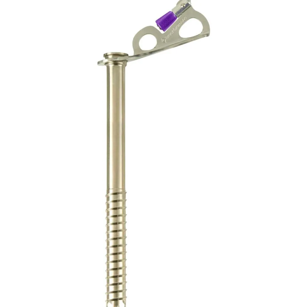 Broche À Glace<Black Diamond Broche à glace Express Ice Screw 22 cm