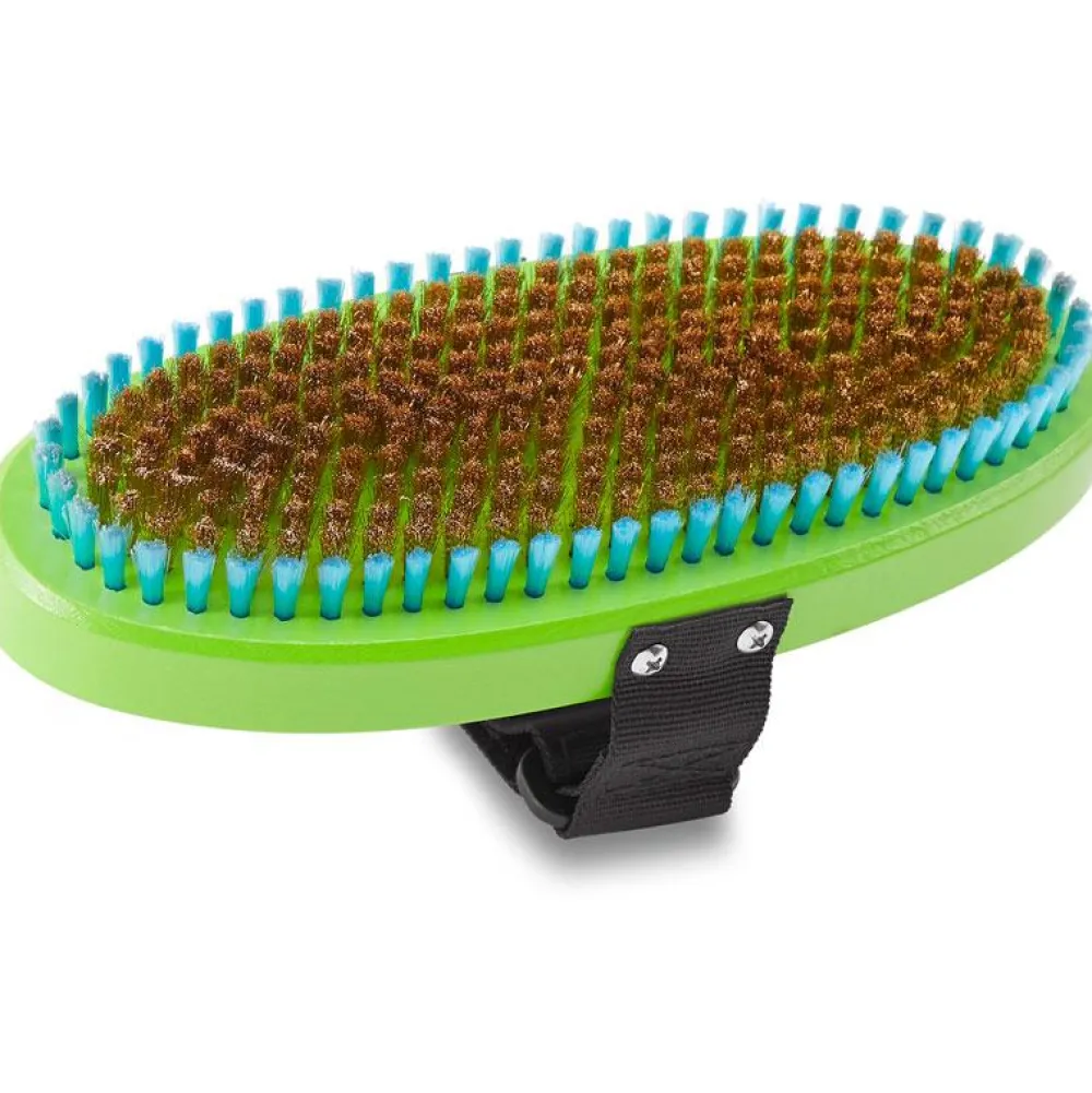 Sale Brosse Premium Ovale Brass Brush Green Racloir Et Brosse|Outillage