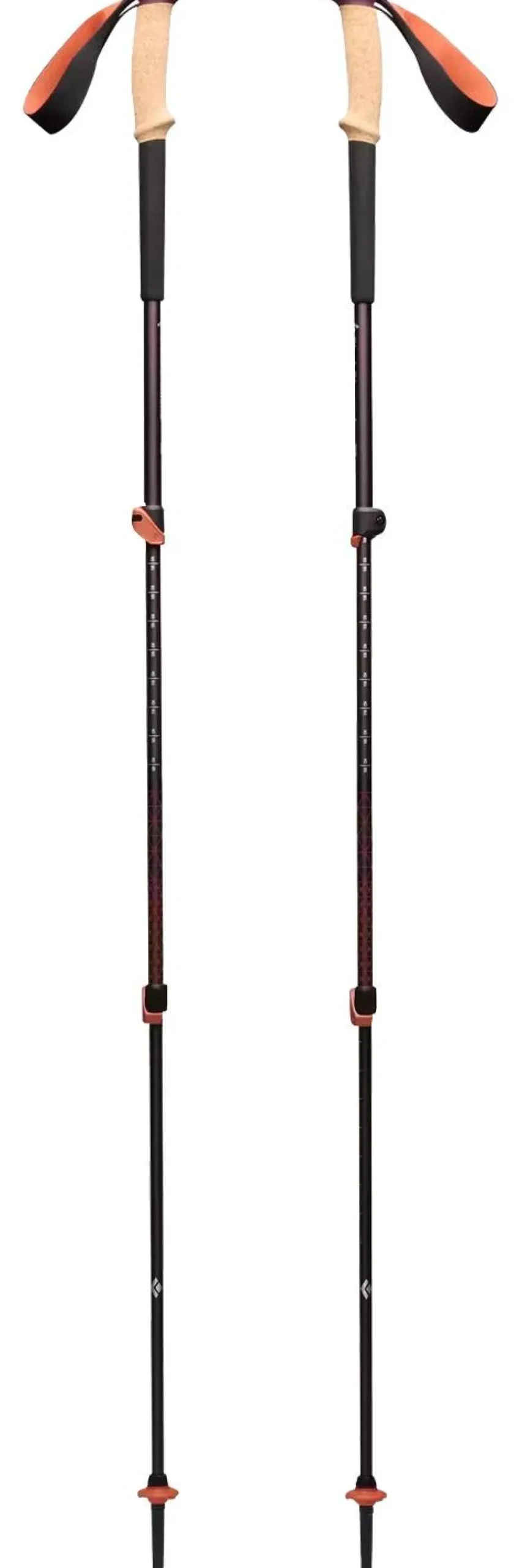 Clearance Bâton Trail Cork Trekking 100-140 cm Fig Bâtons Trail