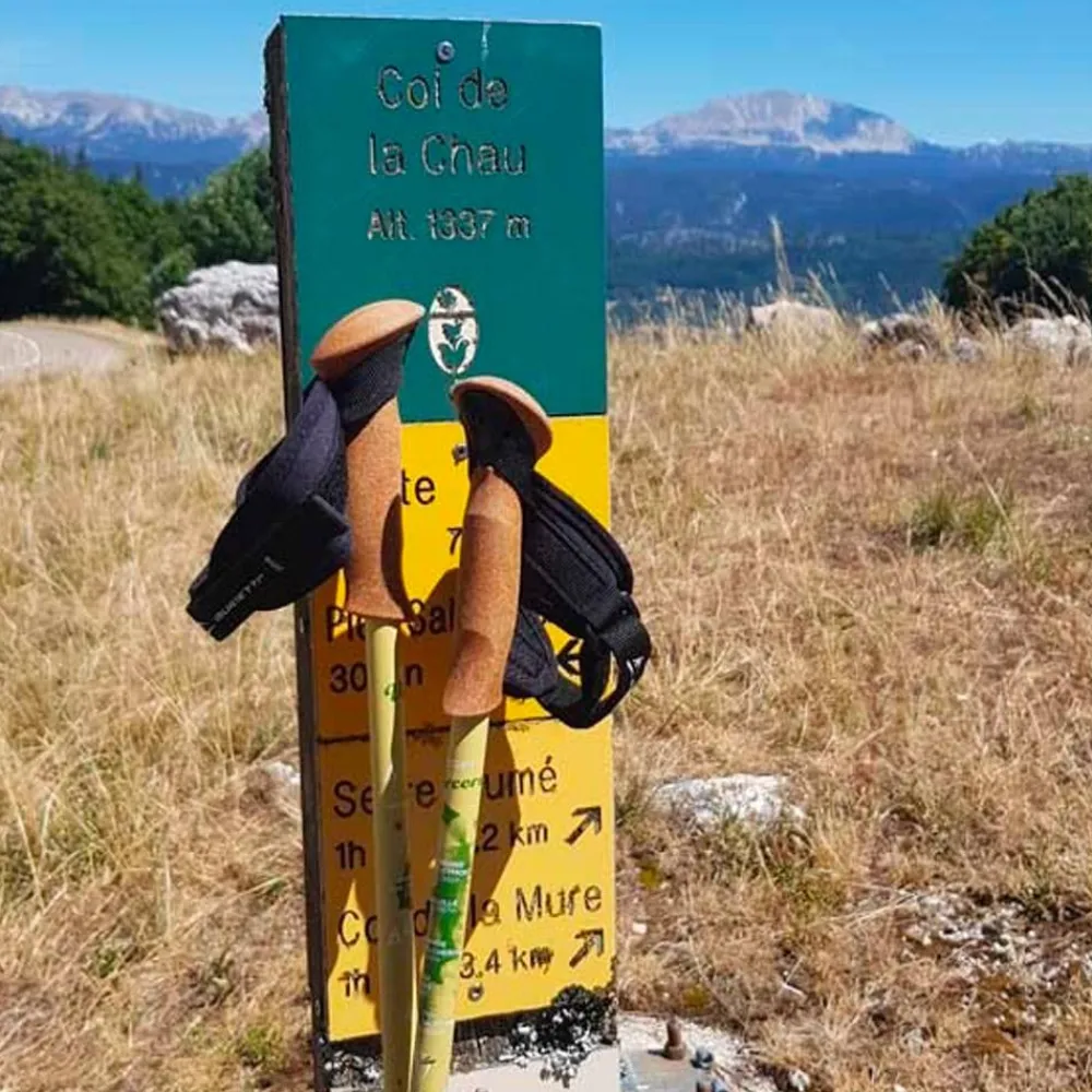 Best Bâton Région 62-135 cm Massif Du Vercors Bâtons De Marche Télescopique