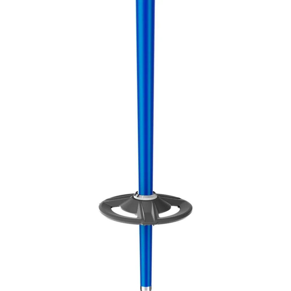 Bâtons Femme|Bâtons Homme<Scott Bâton Riot Royal Blue