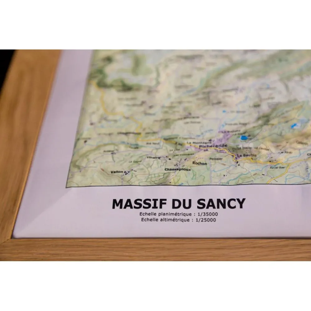 Carte 3D<Deniveles Carte 3D Massif du Sancy (Summer)