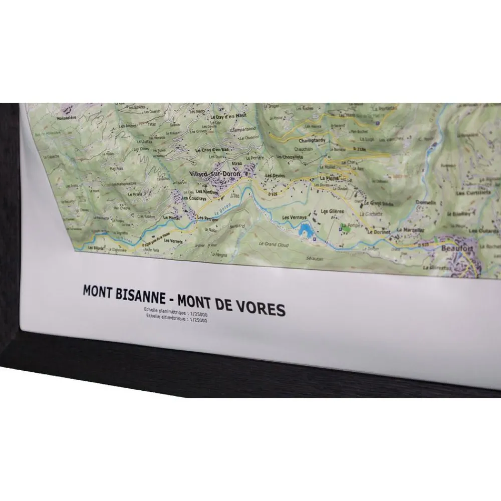 Carte 3D<Deniveles Carte 3D Mont Bisanne & Mont De Vores (Summer)