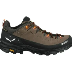 Chaussures Alpinisme|Chaussures Rando Basses<Salewa Chaussures d'approche Alp Trainer 2 Gore-Tex Bungee Cord Black