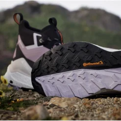 Chaussures de randonnée Terrex Free Hiker 2 Gore-Tex W Preloved Fig Silver Dawn Aurora Black Femme Chaussures Rando Femme