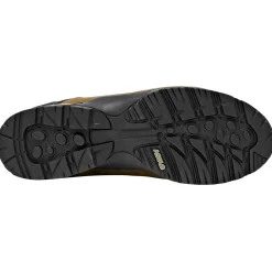 Chaussures Rando Homme<Asolo Chaussures de randonnée Fugitive Gore-Tex MM Truffle Stone