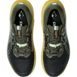 Chaussures Trail Homme<Asics Chaussures de trail Gel-Trabuco 13 Gore-Tex Black Whisper Green