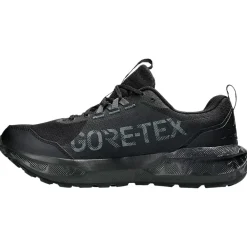 Chaussures Trail Homme|Chaussures Rando Homme<Asics Chaussures de trail Gel-Sonoma 8 Gore-Tex Black Carrier Grey