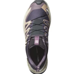 Clearance Chaussures de trail Xa Pro 3D V9 Gore-Tex W Nine Iron Oxford Tan Alfalfa Femme Chaussures Trail Femme|Chaussures Rando Femme