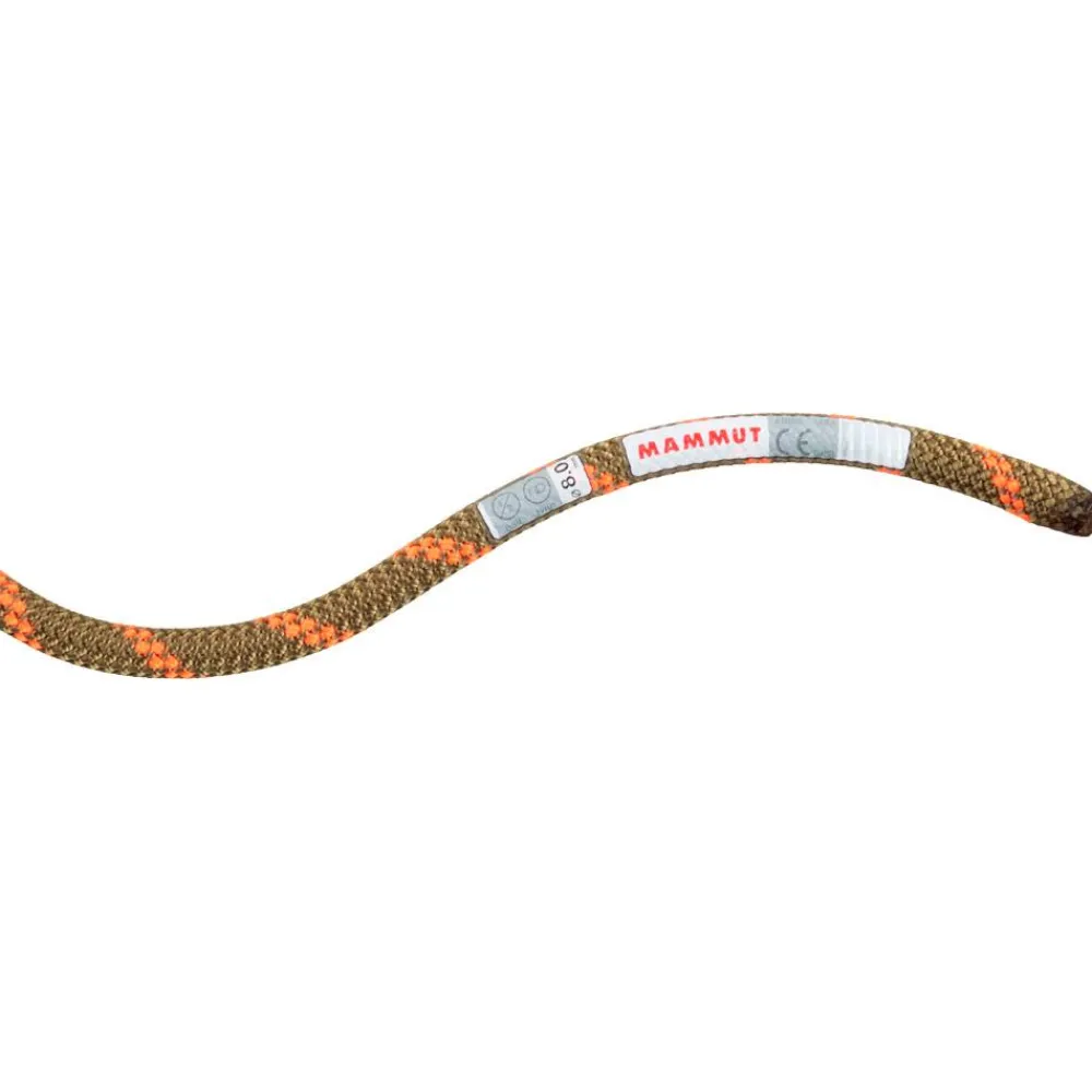 Best Corde 8.0 Alpine Dry Rope Boa Vibrant Orange Corde