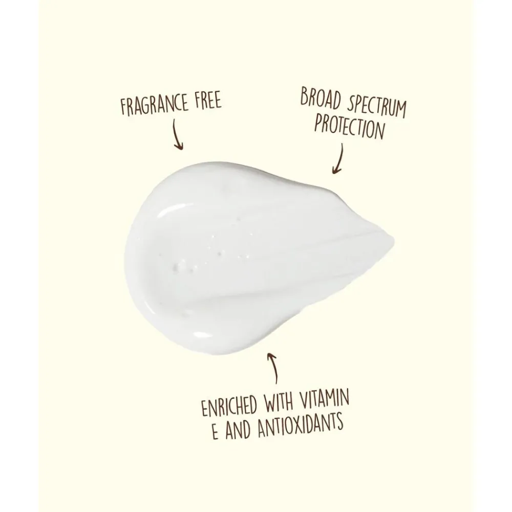 Crème Solaire|Produits De Soins<Sun Bum Crème solaire Original SPF 50 Sunscreen Face Lotion