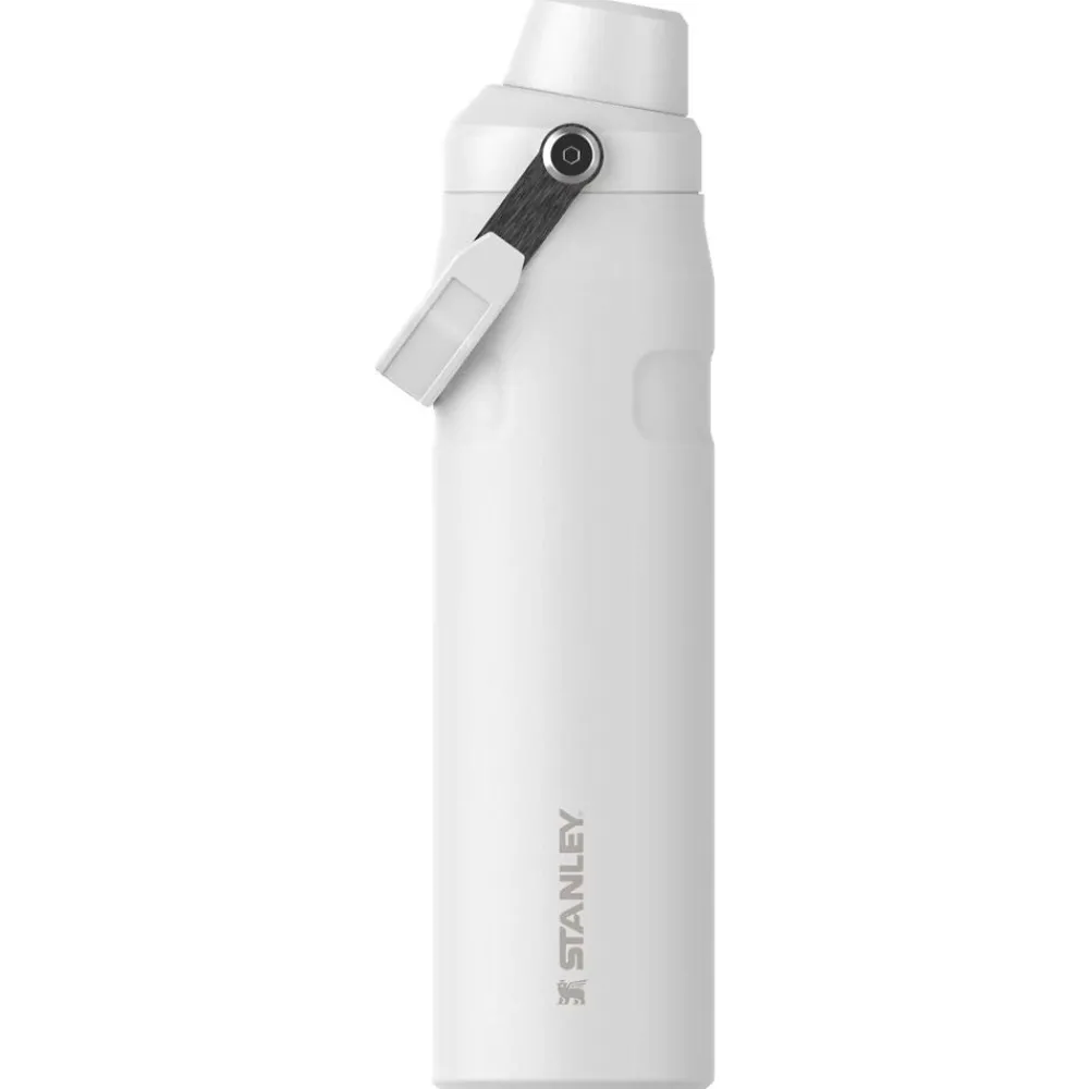 Best Gourde The Aerolight Iceflow Bottle Fast Flow 0.6L Frost Gourdes