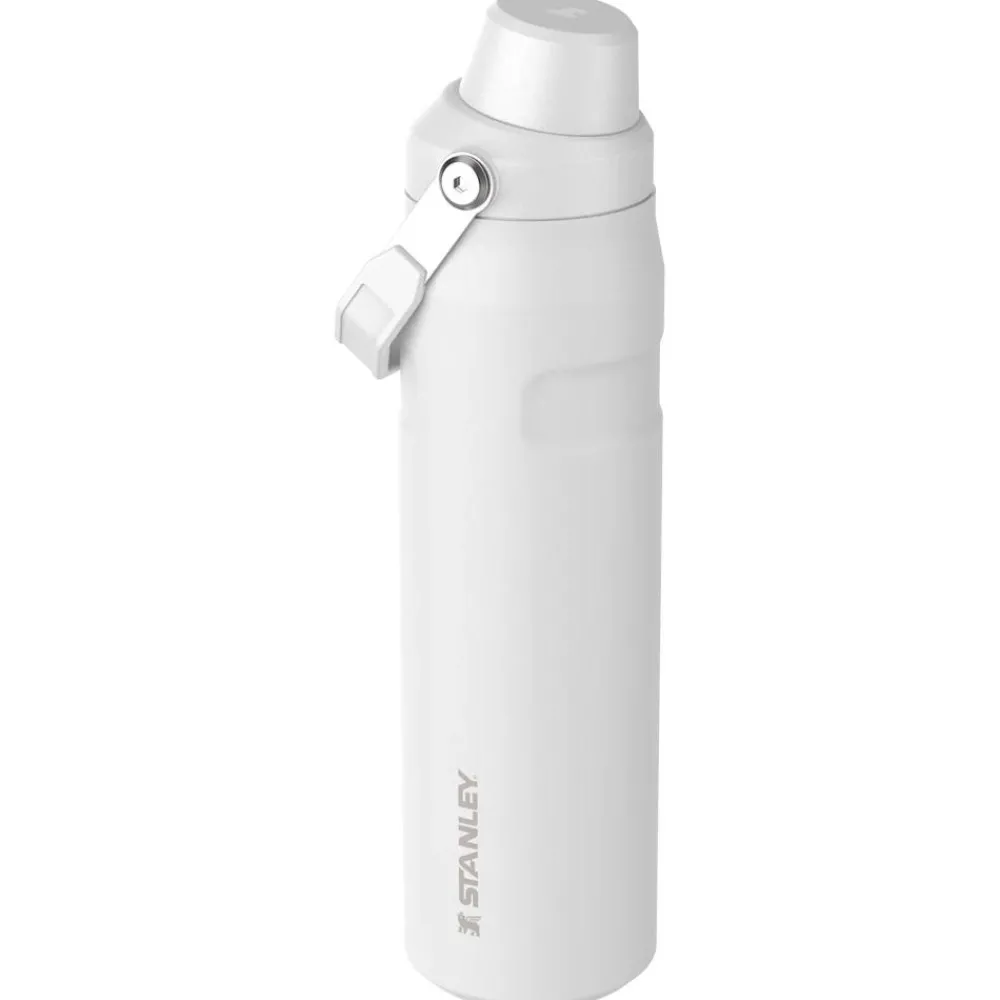 Best Gourde The Aerolight Iceflow Bottle Fast Flow 0.6L Frost Gourdes