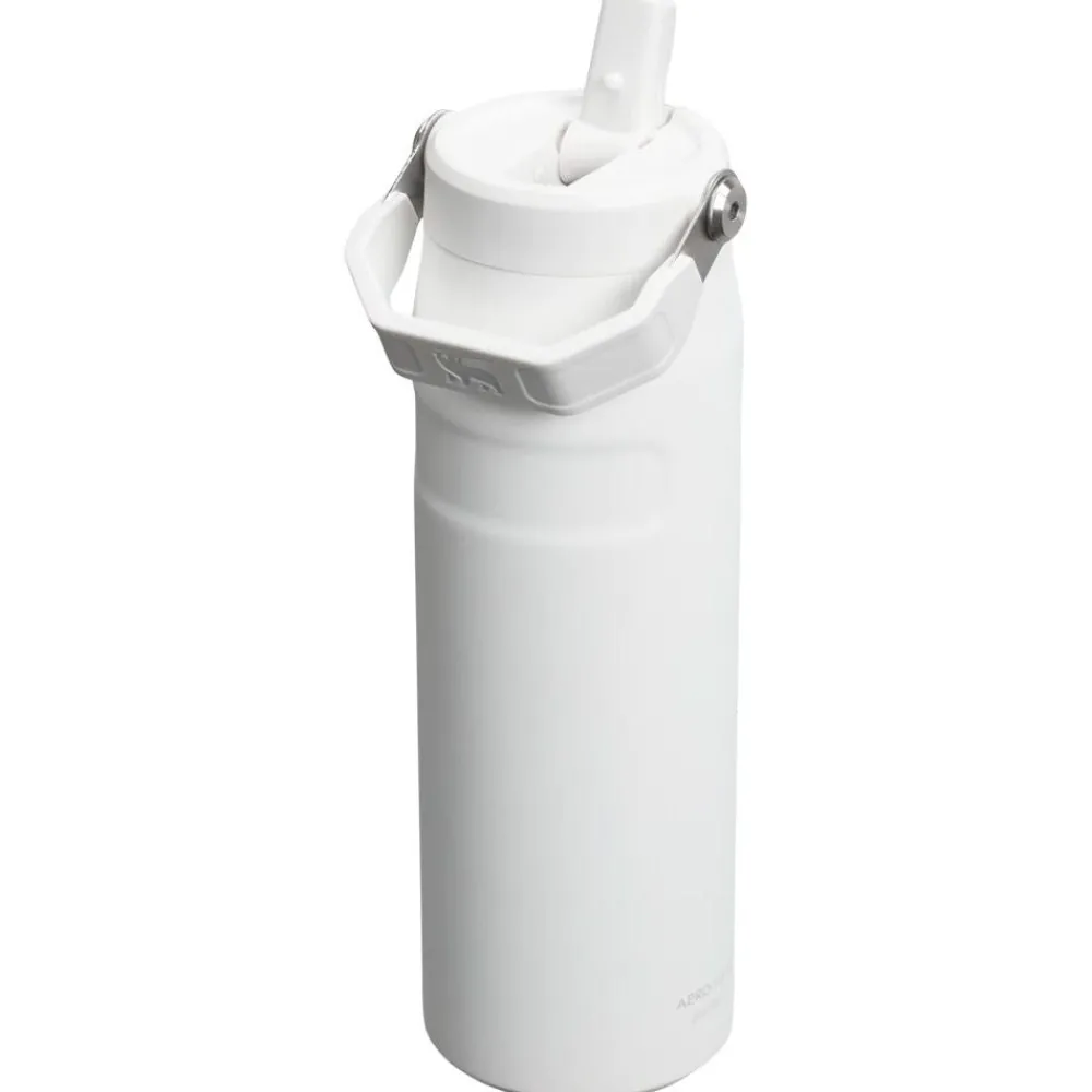New Gourde The Iceflow Bottle Flip Straw 0.07L (24Oz) Frost Gourdes