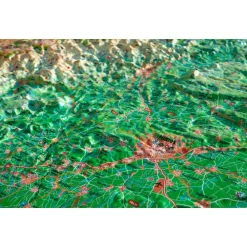 New Le Gard + Cadre Carte 3D