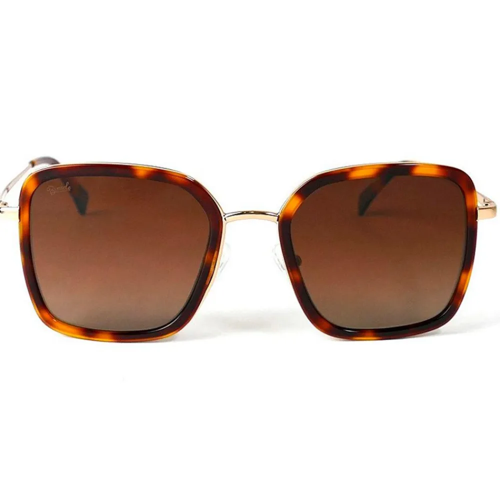 Lunettes Femme|Lunettes Polarisées<Binocle Eyewear Lunettes de soleil Paloma Shiny Gold Tortoise Gradient Brown Polarized
