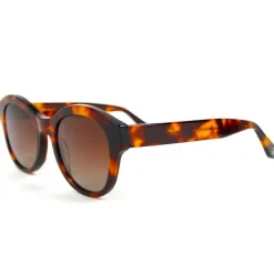Lunettes Femme|Lunettes Polarisées<Binocle Eyewear Lunettes de soleil Sophia Shiny Tortoise Gradient Brown Polarized
