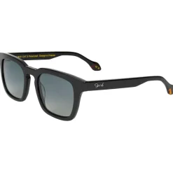 Lunettes Polarisées<Binocle Eyewear Lunettes de soleil Matt Shiny Black Gradient Grey Polarized