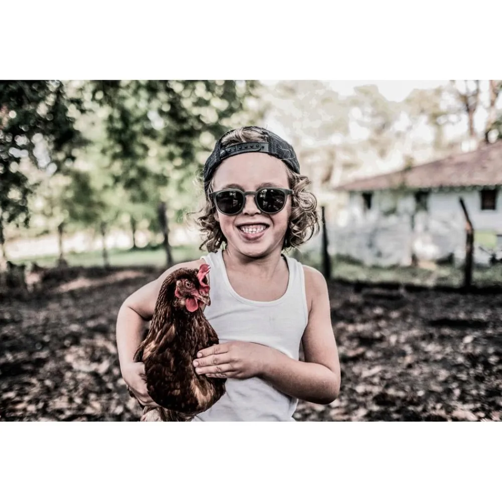 Discount Lunettes de soleil Enzoo Tortoise Green Enfant Lunettes Enfant