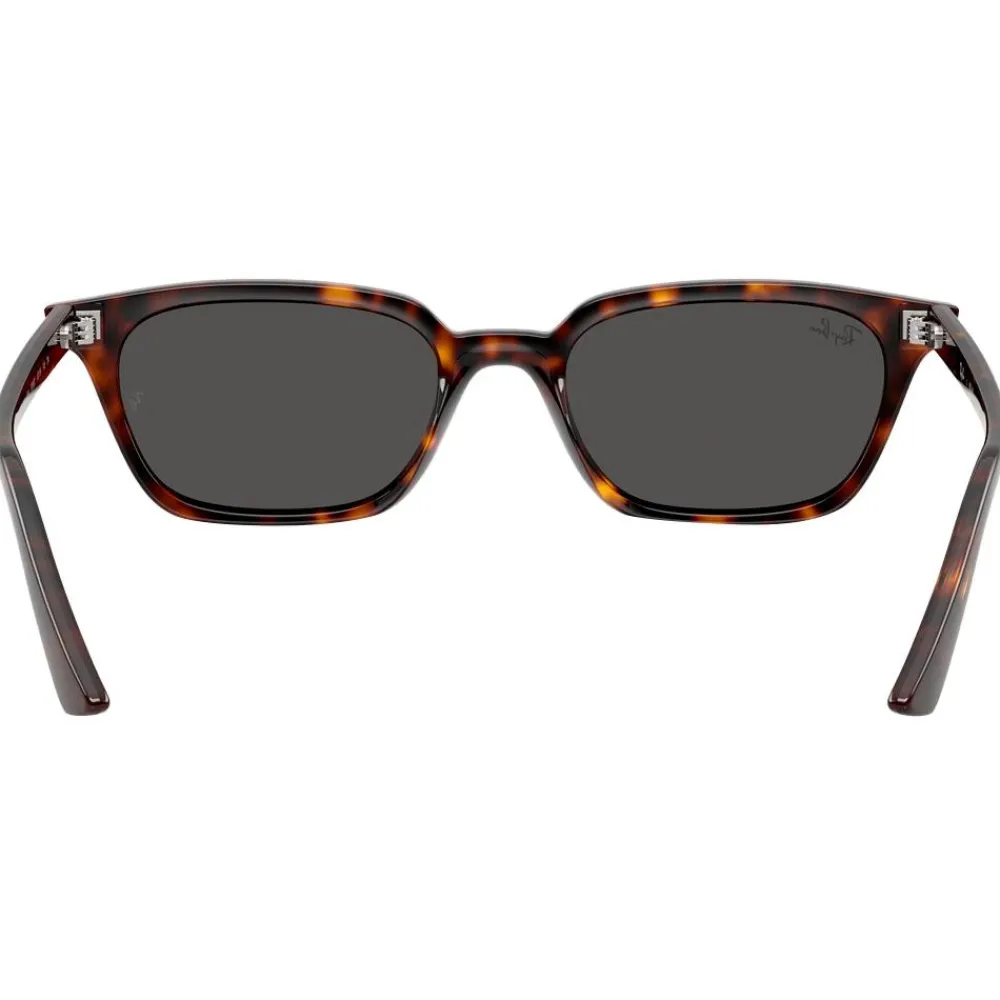 Lunettes Femme|Lunettes Homme<Ray Ban Lunettes de soleil RB4456 Zaya Polished Havana Dark Grey
