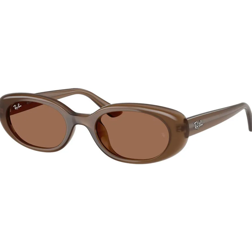 Lunettes Femme<Ray Ban Lunettes de soleil RB4441D Matte Brown Opaline Dark Brown
