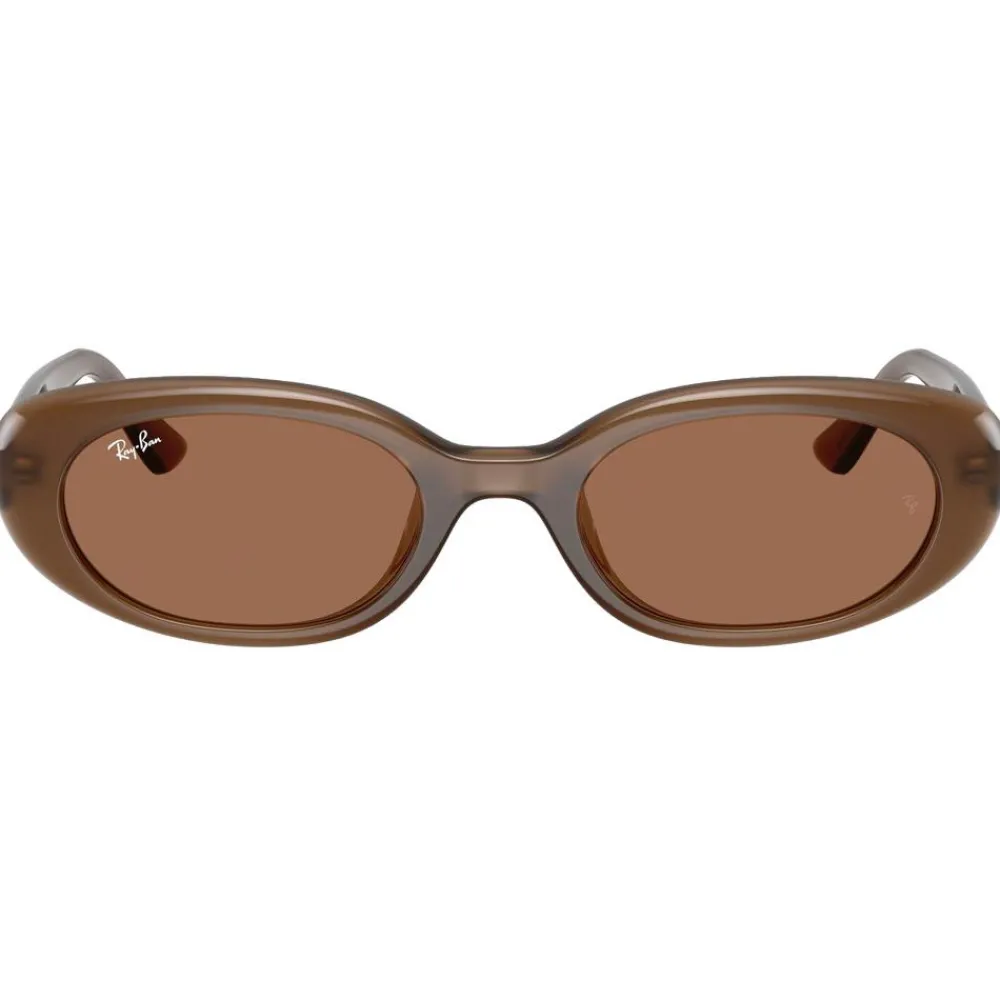 Lunettes Femme<Ray Ban Lunettes de soleil RB4441D Matte Brown Opaline Dark Brown