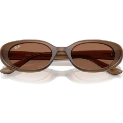 Lunettes Femme<Ray Ban Lunettes de soleil RB4441D Matte Brown Opaline Dark Brown