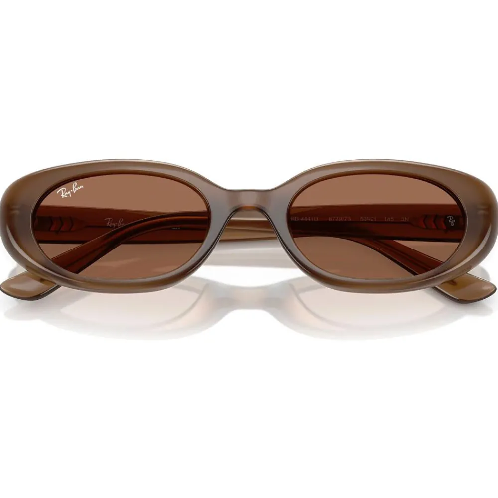 Lunettes Femme<Ray Ban Lunettes de soleil RB4441D Matte Brown Opaline Dark Brown