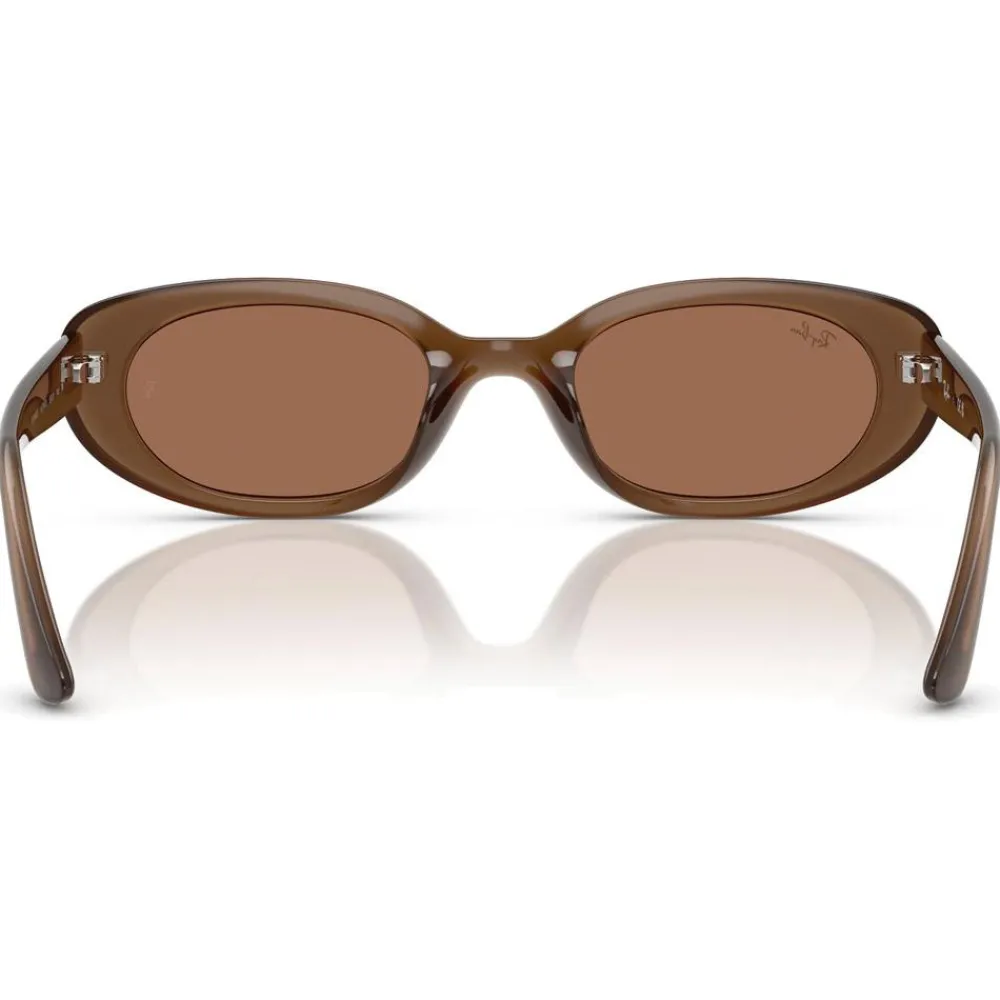 Lunettes Femme<Ray Ban Lunettes de soleil RB4441D Matte Brown Opaline Dark Brown