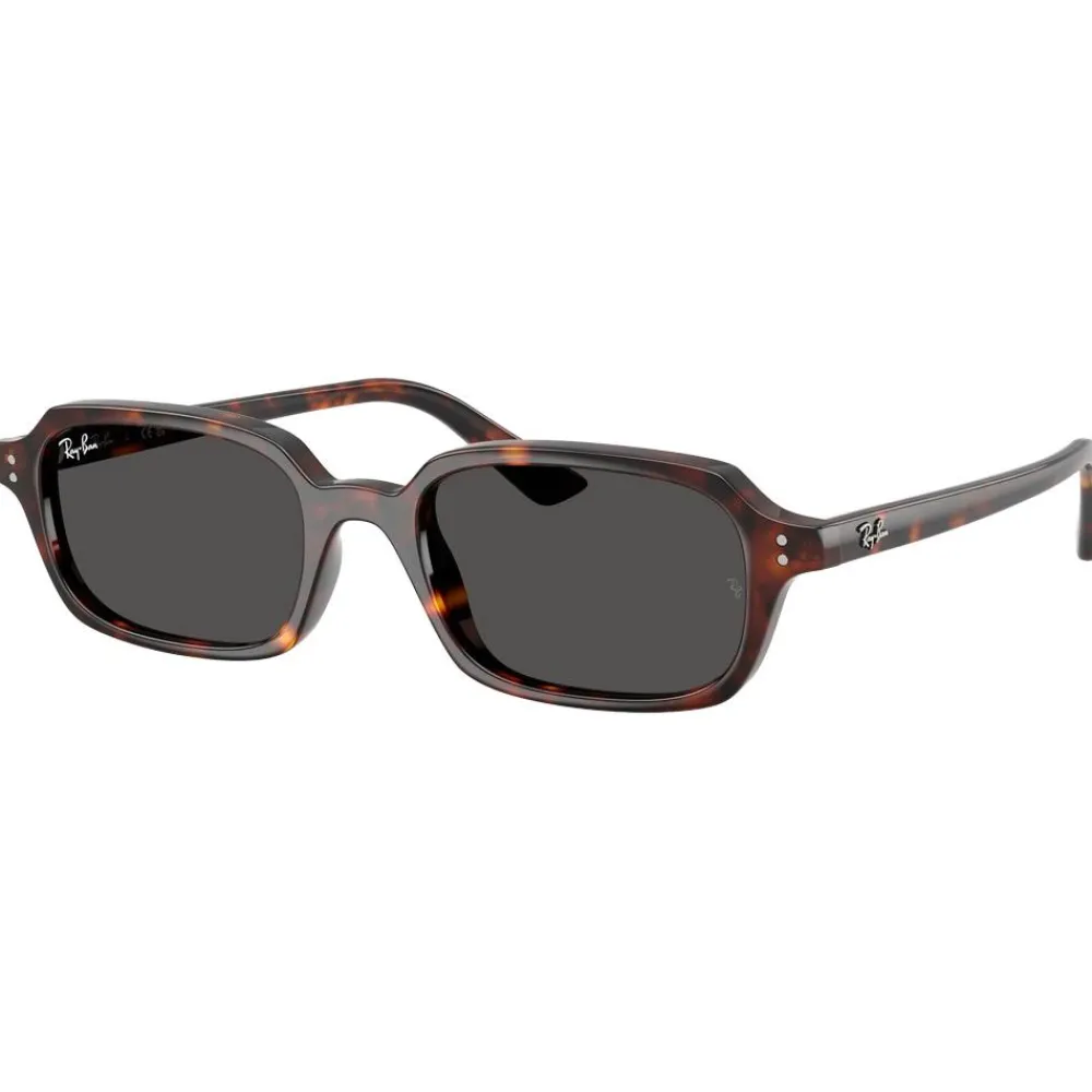 Lunettes Femme<Ray Ban Lunettes de soleil RB4455 Zuri Polished Havana Dark Grey