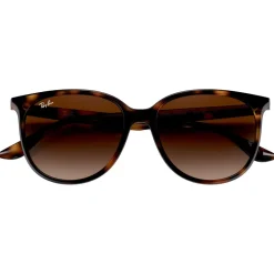 Lunettes Femme<Ray Ban Lunettes de soleil RB4378 Polished Havana Gradient Brown