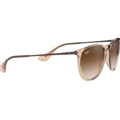 Lunettes Femme|Lunettes Femme<Ray Ban Lunettes de soleil RB4171 Erika Classic Polished Transparent Brown Gradient Brown