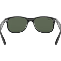 Lunettes Femme<Ray Ban Lunettes de soleil RB4202 Andy Matte Black Green