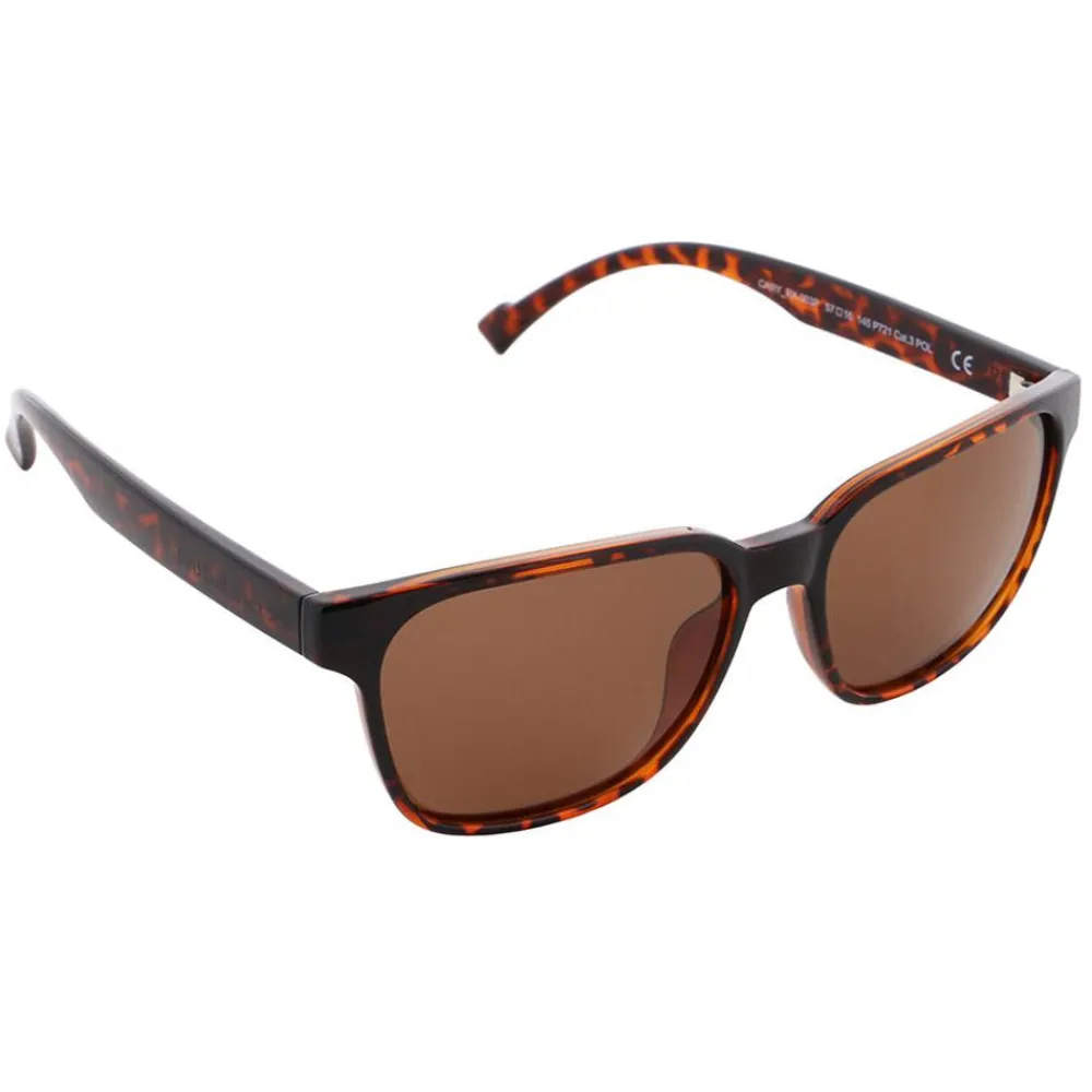 Discount Lunettes de soleil Cary Shiny Havana Brown Lunettes Polarisées