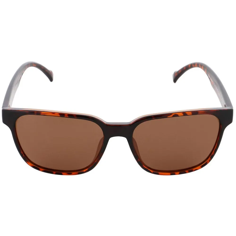 Discount Lunettes de soleil Cary Shiny Havana Brown Lunettes Polarisées