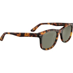 Sale Lunettes de soleil Danny Shiny Classic Havana Polarized 555nm Femme Lunettes Photochromiques|Lunettes Femme