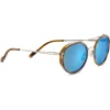 Online Lunettes de soleil Geary Shiny Gunmetal Brown Buffalo Polarized 555nm Blue Lunettes Polarisées|Lunettes Photochromiques