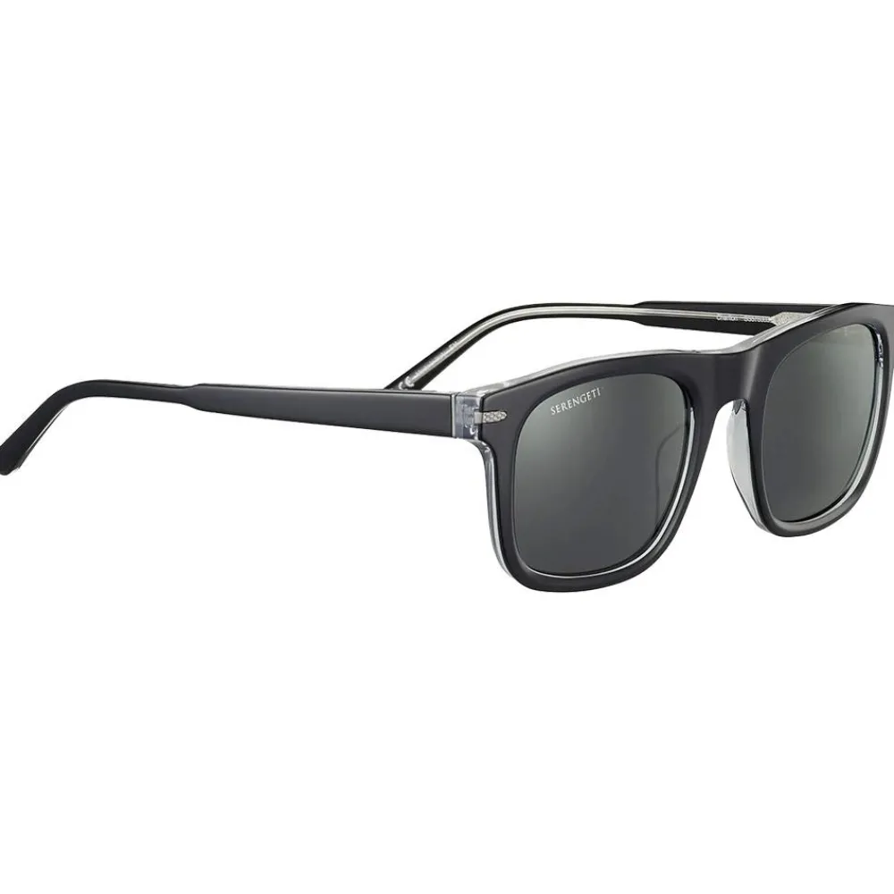 Online Lunettes de soleil Charlton Shiny Black Polarized Smoke Lunettes Photochromiques|Lunettes Polarisées
