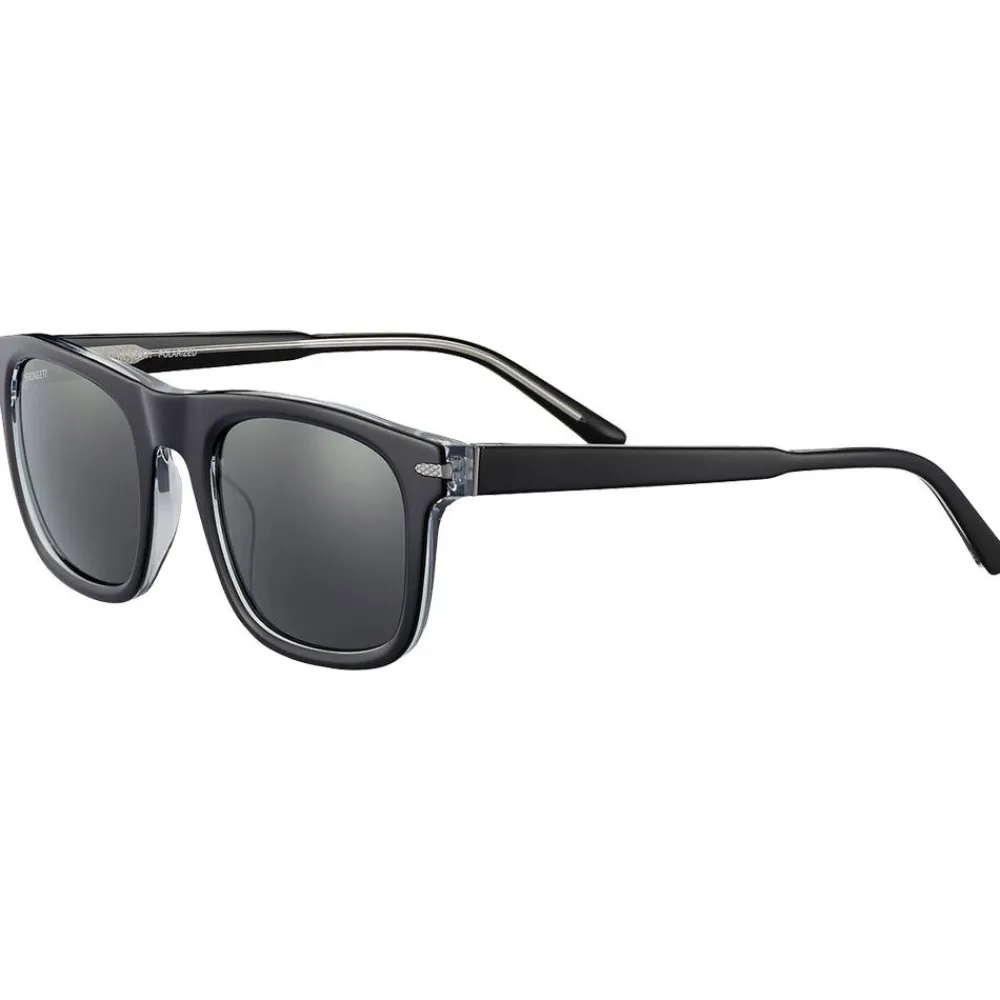 Online Lunettes de soleil Charlton Shiny Black Polarized Smoke Lunettes Photochromiques|Lunettes Polarisées