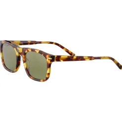 Lunettes Photochromiques|Lunettes Polarisées<Serengeti Lunettes de soleil Charlton Shiny Havana Polarized 555nm
