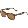 Online Lunettes de soleil Legend 07 Valley Ecaille Pure Brown Femme Lunettes Femme