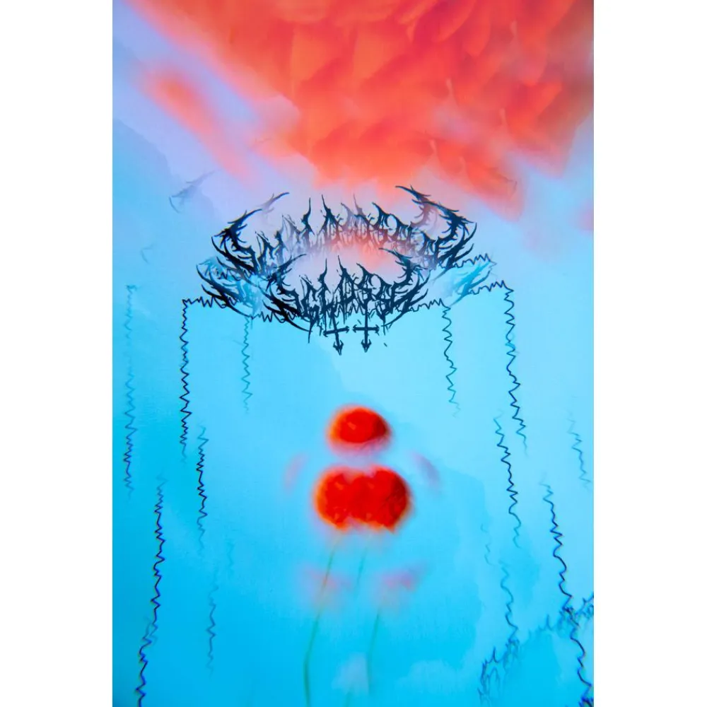 Pack Snowboard Femme<Gnu Pack Snowboard Gloss + Fix