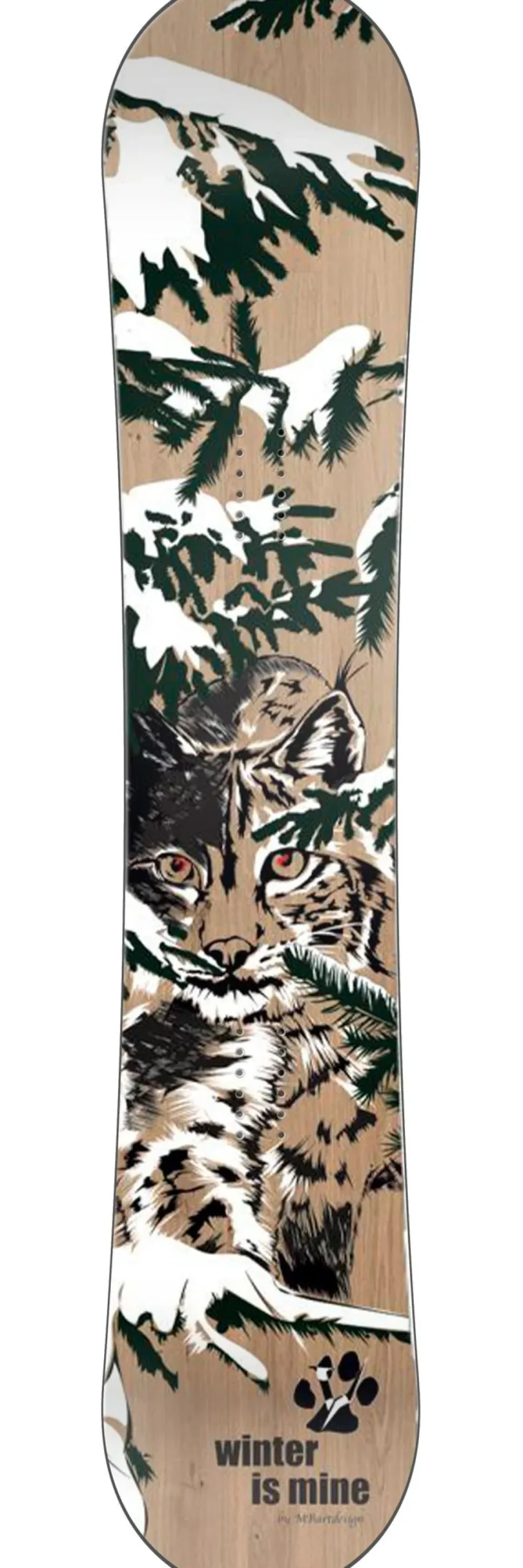 Hot Pack Snowboard Winter Is Mine + Fix Homme Pack Snowboard Homme