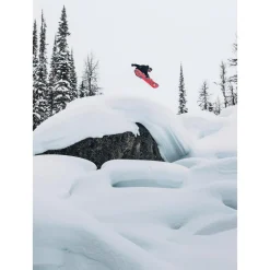 Discount Planche Snowboard Family Tree Hometown Hero Créez Votre Pack