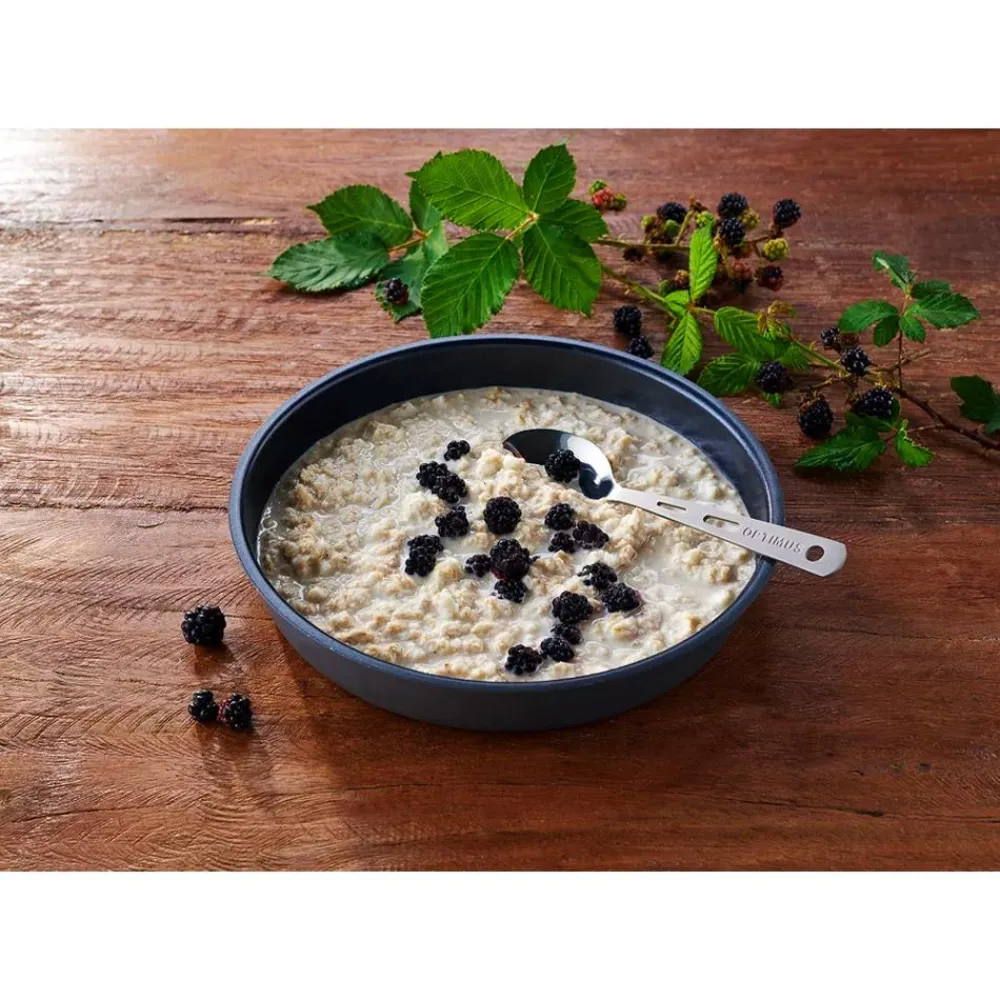Repas Lyophilisés<Trek'n Eat Repas Lyophilisé Porridge Protéiné 150 g.