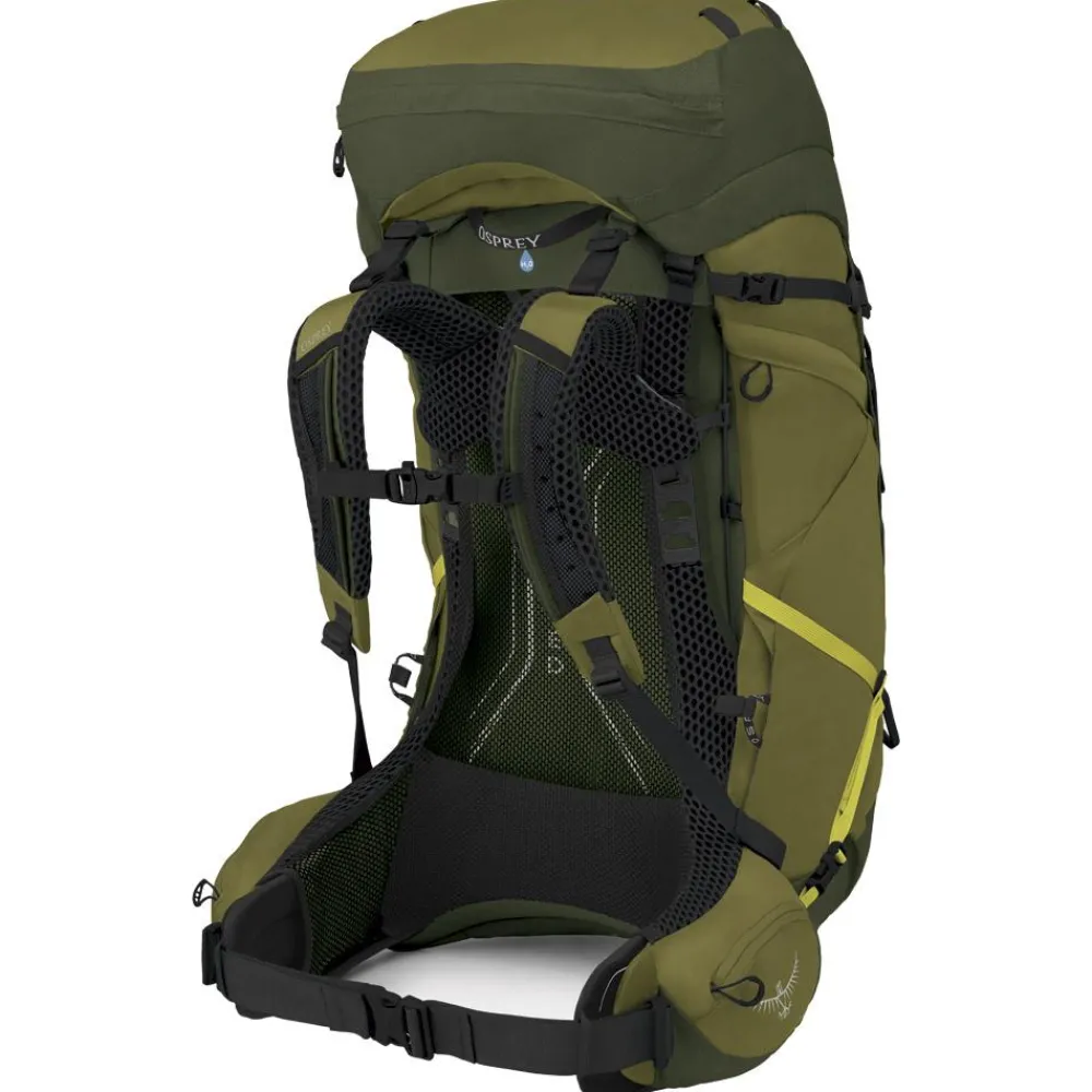 Discount Sac à dos Atmos Ag Lt 65 Scenic Valley Green Peppercorn Homme Sac À Dos Randonnée|Sac Randonnée Homme